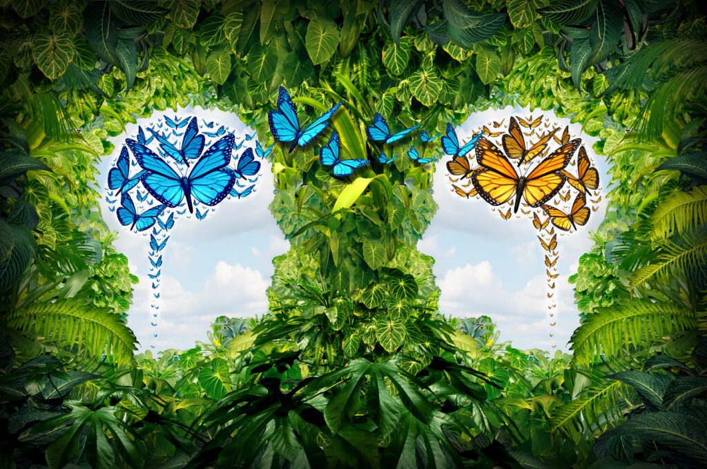 Attorney Communication Challenges